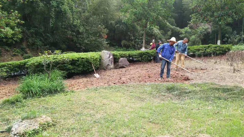 揭秘假山喷泉厂家直销：选购要点与注意事项