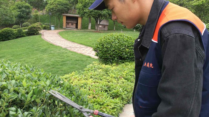 北京别墅花园设计：如何打造私人绿色家园？**
