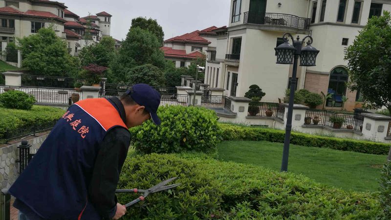 植物墙设计定制，价格如何考量？**