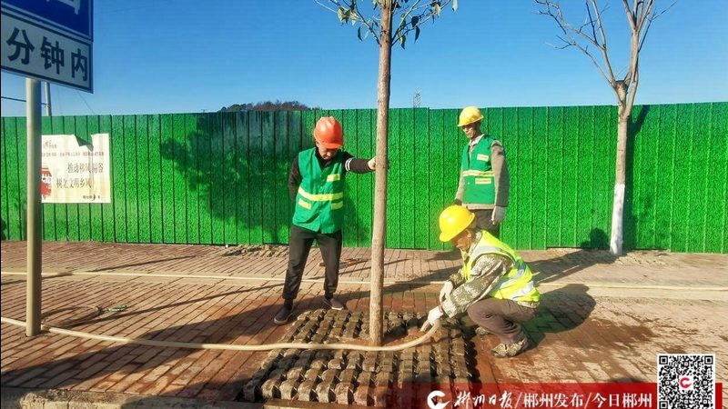 办公区垂直绿化墙的日常维护之道**