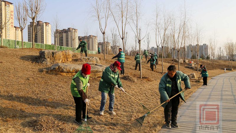园林工程报价软件：揭秘其核心功能与选型要点