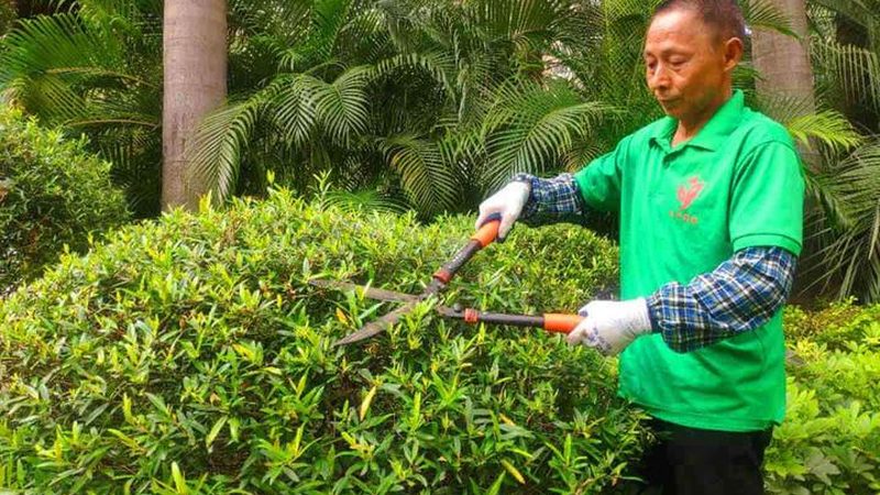 垂直绿化植物墙每平米造价，你了解多少？**