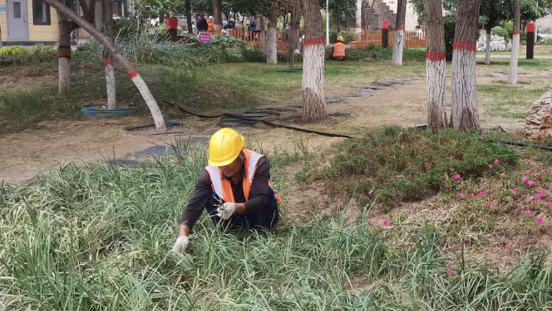 屋顶草坪施工成本揭秘：影响价格的关键因素**