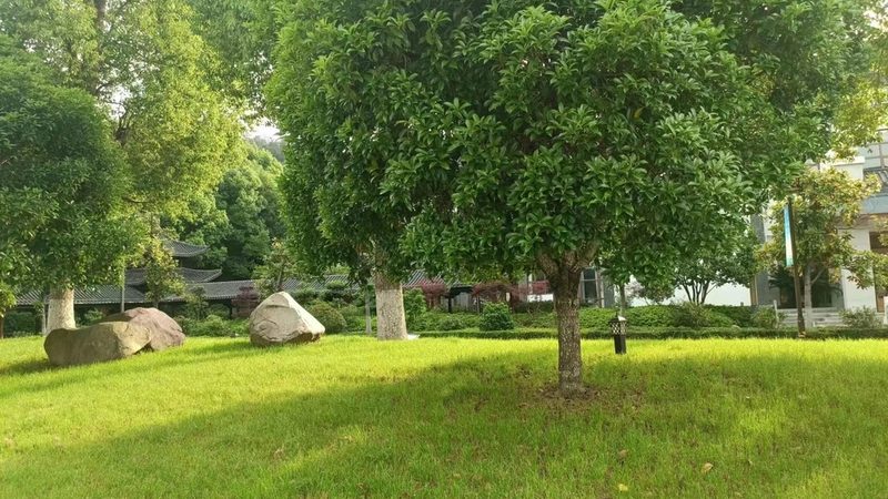 假山喷泉水泵选型：关键参数解析与误区规避**
