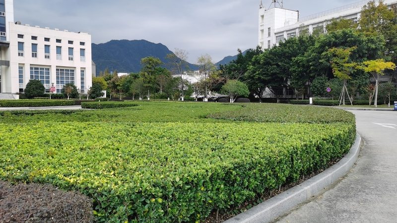 庭院灯光设计：打造温馨夜境的五大要点