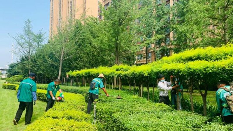 别墅花园设计效果图：优缺点解析